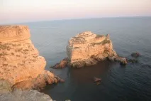Сколопендра, чи хтось у Криму страшніший змії сколопендра