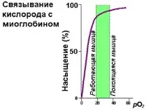 сложните