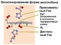 компоненти