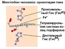 съдържат