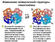 протеини