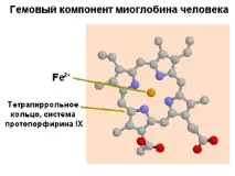 компоненти