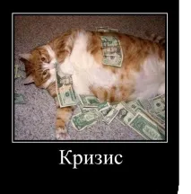 Смішні демотиватори з кітами смішні