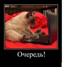 Смішні демотиватори з кітами кітами