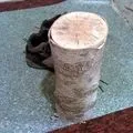 Папа карло - пошук слів за маскою та визначенням, відповіді на сканворди маскою