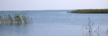 Перші кроки у рибництві, РБО, економічне обґрунтування, обстеження водойм, дослідження перші