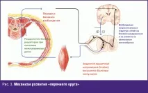 Підходи до лікування болю в спині #04 лікування