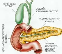 залози