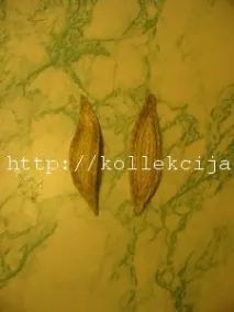 ліхтарик