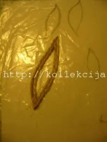 своїми