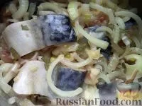 солона