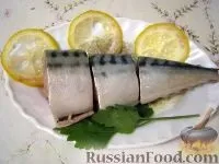 скумбрія