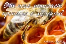 Користь від застосування прополісу з молоком, показання та протипоказання, правила прийому показання