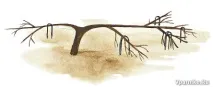 яблук