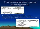 Презентація на тему Туристичні вузли, їх значення та застосування туристичні