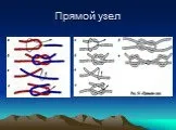 Презентація на тему Туристичні вузли, їх значення та застосування презентація