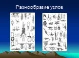 Презентація на тему Туристичні вузли, їх значення та застосування туристичні