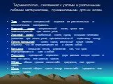 Презентація на тему Туристичні вузли, їх значення та застосування тему