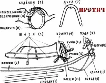 история