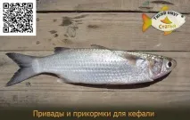 одвірок