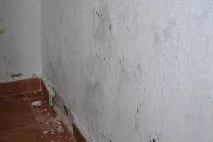 металеві