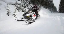 polaris