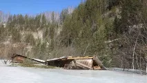 доля