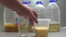 Рецепт самогону на гороху рецепт