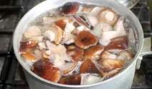 Рецепт маринування тополиних рядів рецепт