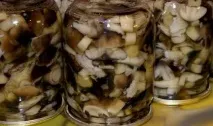 Рецепт маринування тополиних рядів гриби