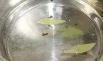 Рецепт маринування тополиних рядів маринування