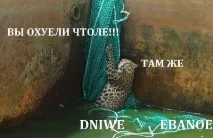 українські називають мене Dniwe ebanoe dniwe