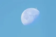 фата