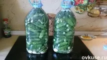 Солоні огірки у пластиковій пляшці – як із бочки! солоні