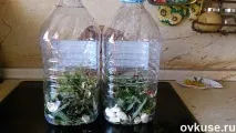 Солоні огірки у пластиковій пляшці – як із бочки! солоні