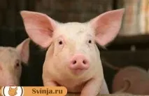 скільки