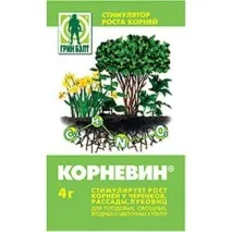 Сорт сливи Стенлі опис та характеристика, переваги та недоліки, особливості посадки та догляду опис
