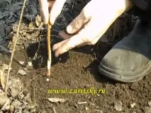 Способи щеплення можна