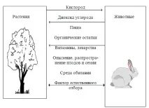гігантської