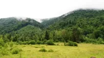 карпатах