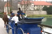 Весілля у Словенії у замку Оточець Словенії