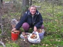 Суп із боровиками лише
