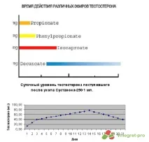 Сустанон 250 курс, ціна, інструкція, відгуки інструкція
