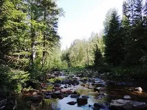 кіалім