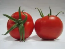 agro-imperial