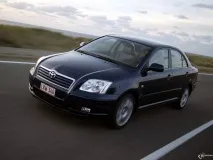 avensis