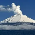 6 букв - пошук слів по масці та визначенню, відповіді на сканворди слів