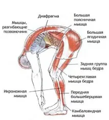 поза