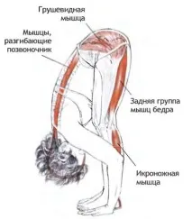 розтягнута