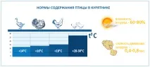 Вентиляція птахофабрики, норми та стандарти утримання птиці норми